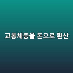 교통체증을 돈으로 환산하면 얼마나 될까? 교통혼잡비용의 경제학 8 eab590ed86b5ecb2b4eca69dec9d84 eb8f88ec9cbceba19c ed9998ec82b0 1788304741
