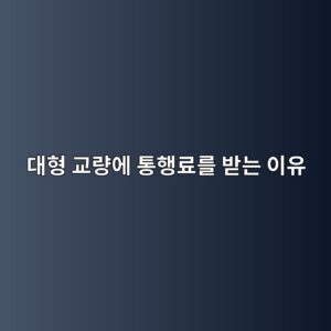 대형 교량에 통행료를 받는 이유는 무엇일까? 건설비와 유지관리비의 경제학 4 eb8c80ed9895 eab590eb9f89ec9790 ed86b5ed9689eba38ceba5bc ebb09beb8a94 ec9db4ec9ca0 1789081288
