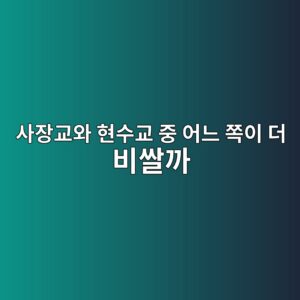 사장교와 현수교 중 어느 쪽이 더 비쌀까? 건설비와 경제성 비교 9 ec82acec9ea5eab590ec9980 ed9884ec8898eab590 eca491 ec96b4eb8a90 ecaabdec9db4 eb8d94 ebb984ec8c80eab98c 1789251739