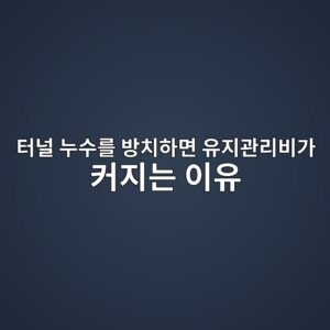 터널 누수를 방치하면 유지관리비가 커지는 이유는 무엇일까? 6 ed84b0eb8490 eb8884ec8898eba5bc ebb0a9ecb998ed9598eba9b4 ec9ca0eca780eab480eba6acebb984eab080 ecbba4eca780eb8a94 ec9db4ec9ca0 1789688140
