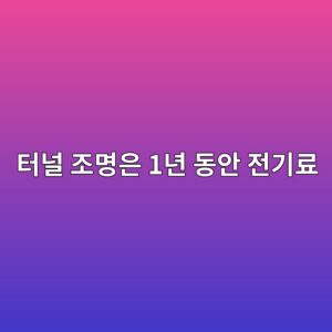 터널 조명은 1년 동안 전기료가 얼마나 나올까? 터널 운영비의 경제학 9 ed84b0eb8490 eca1b0ebaa85ec9d80 1eb8584 eb8f99ec9588 eca084eab8b0eba38c 1789339114